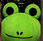 FROGGIE