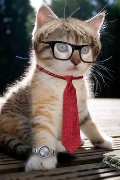 GCAT